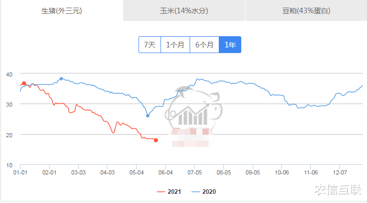 27日豬價加速下跌！砸盤原因已找到，6月能反轉嗎？關鍵看這幾點-圖2