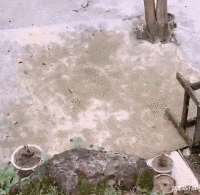 分宜|姑娘草率了,镜片里的反射早就被大家看得一清二楚