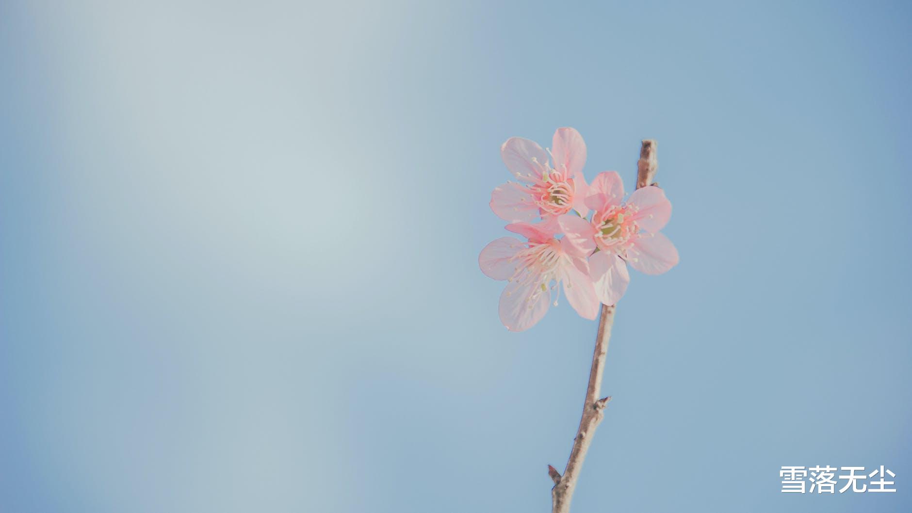 雪落无尘|一个人最大的修养：说话算数