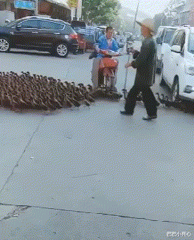 减肥晚餐 大叔刷了200万礼物,终于在如家跟网红女神见面,场面不忍直视!