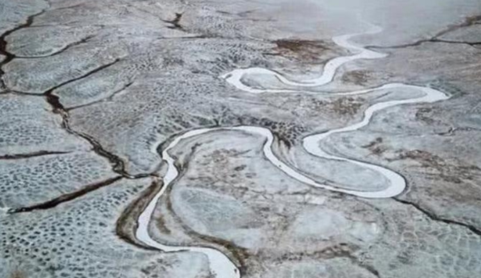 遗骸 南北半球出现“西瓜雪”,永冻土不断发现史前生物,这意味着什么
