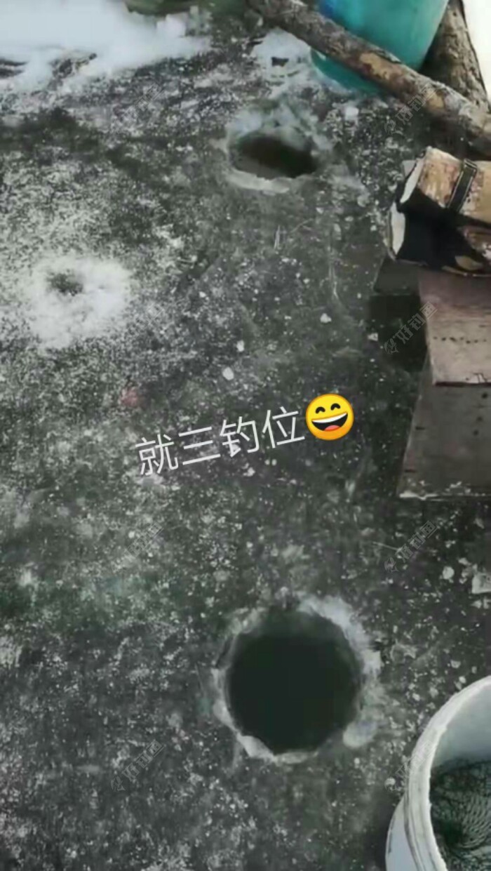 饵料|东北棚钓大鲫鱼之春季垂钓技巧六