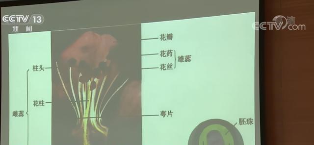 萌听小c姐|教育部发布通知，各地各校将实现课后服务全覆盖，每周至少10小时