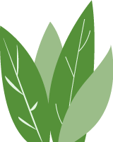 成都快报 绿色成为4084平方公里最亮的底色，汶川保生态也是保民生！