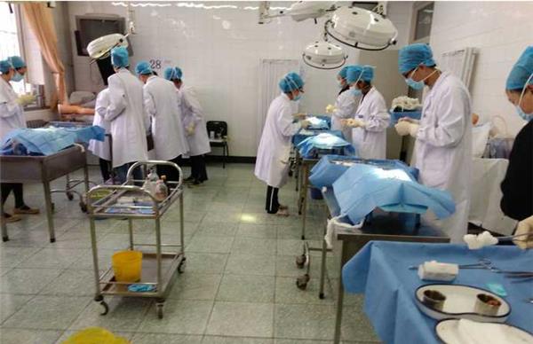 医学生不敢抓老鼠,实验场面一度混乱,网友:老鼠当时害怕极了