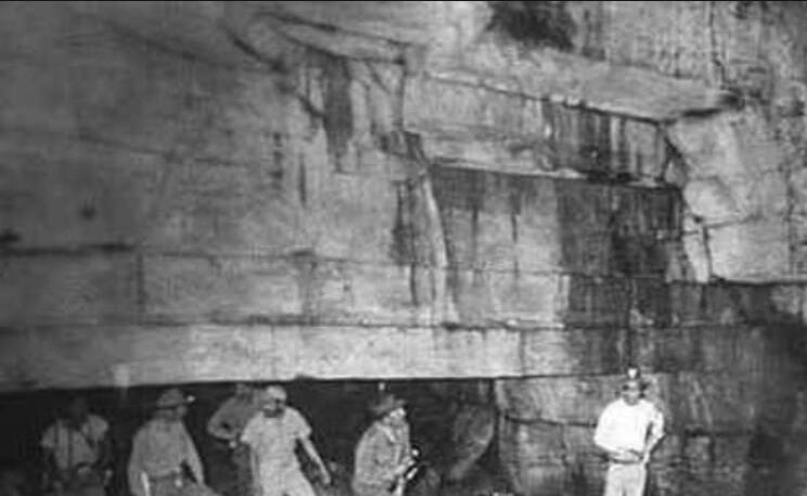 进化论还能稳多久?研究发现史前巨人统治过地球,恐龙只是坐骑而已