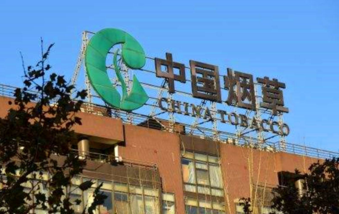 安妈育儿日|人大、武大学生毕业卷香烟?流水线上研究生超3成,引发网络热议