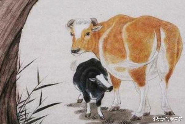 小乐乐的未来梦|生肖牛:进入8月份,整体运势呈现上升的趋势,事业飞黄腾达