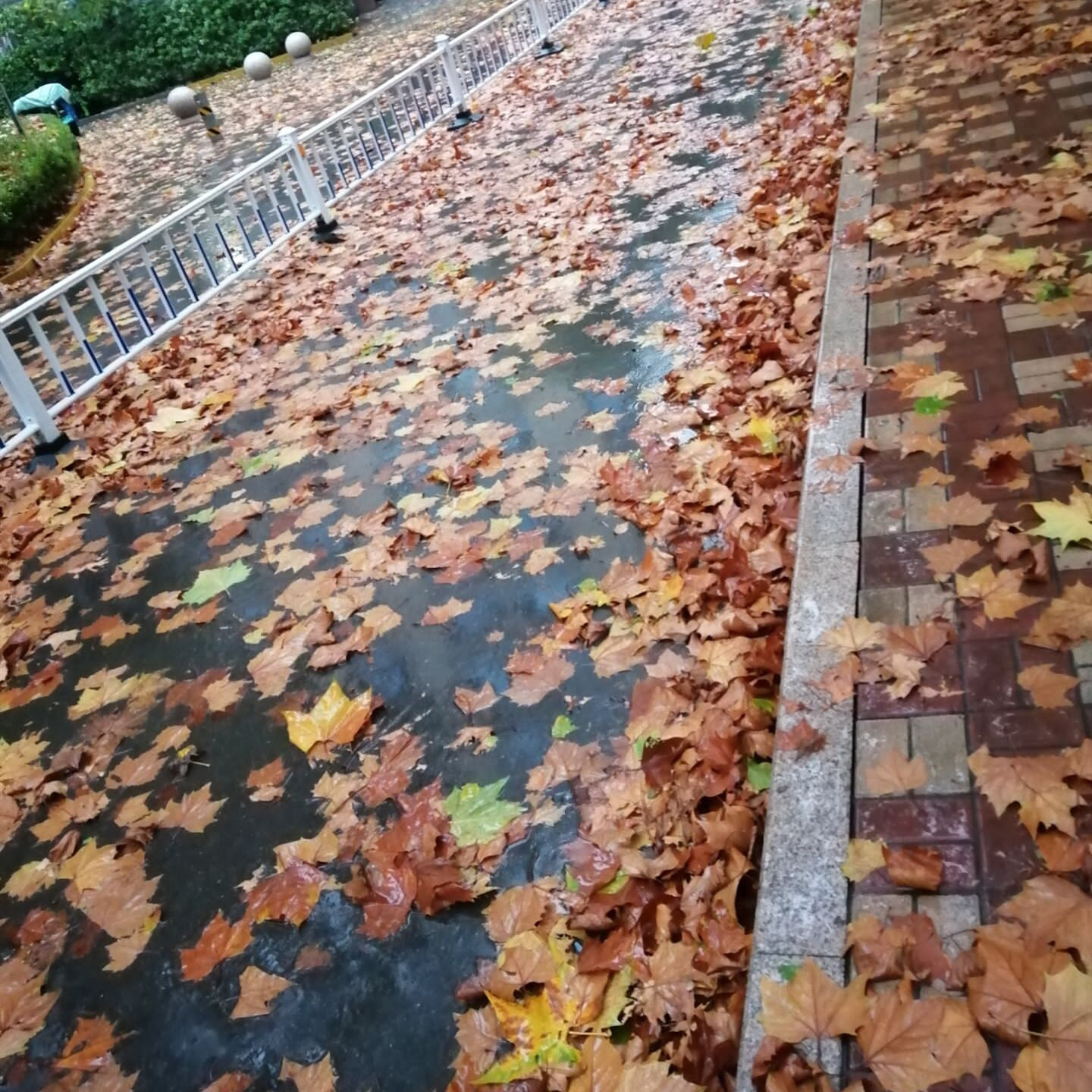 地暖管里有水的业主注意了,冬天不供暖请把水排出去