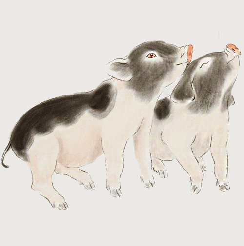 玄何师傅风水|女人属啥生肖，财运年年好，光彩动人有魅力，有望成为女富豪