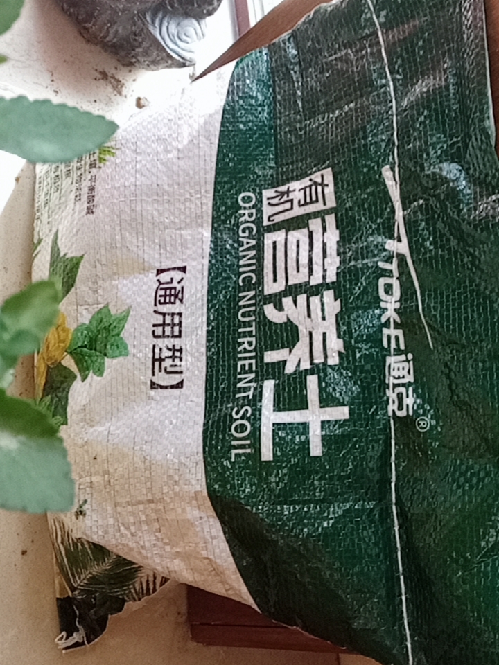 金域华府|3年前，买了个一楼30㎡小院，亲手打造个小花园，待一天也不会腻