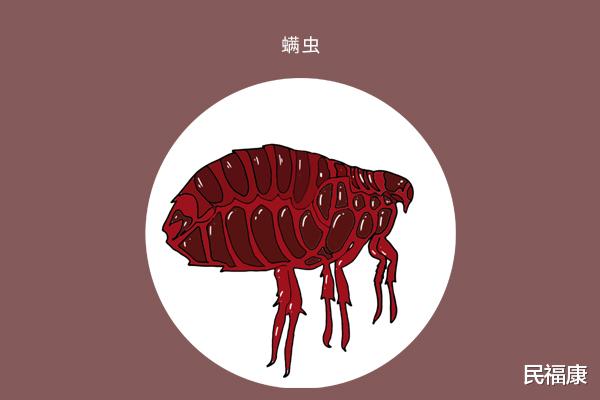 螨虫|冬天人体容易被螨虫“袭击”，教你几招，有效除螨
