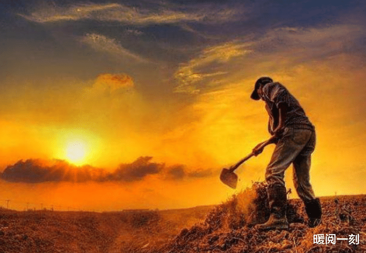 杨旭文 为什么说人的前半生太顺未必是一件好事?