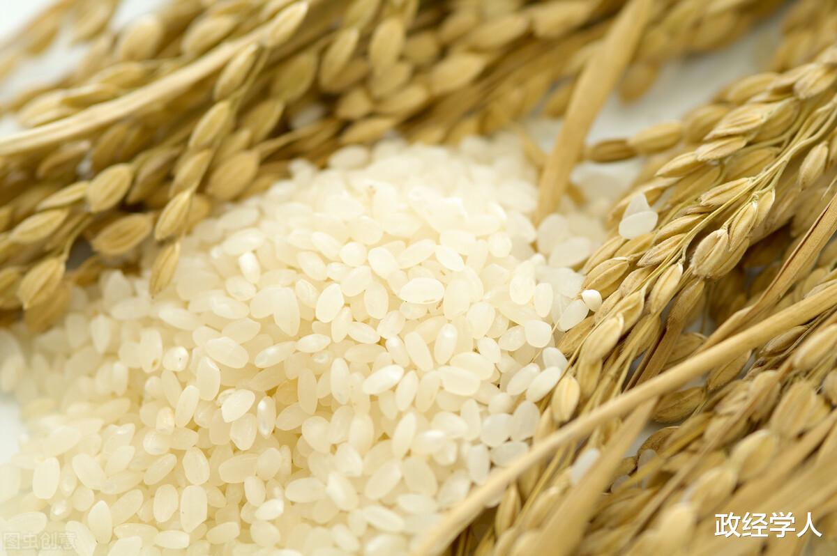 黄金 隐秘的粮食战争:外资联手“做局”中国粮食市场,却被中国反将一军