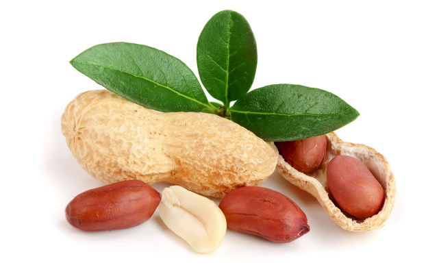 鲍鱼|经常吃花生有助于降血压？提醒：花生虽好，但有5类人要尽量少吃