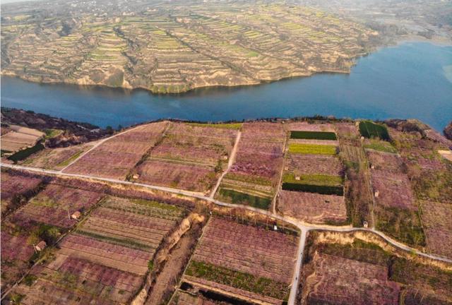 遗骸 陕西出土7300年前少女，被上百人残害，专家：她的身体有一缺陷