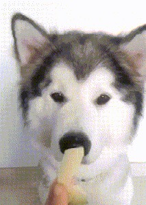 萌萌萌说|“女友在酒店给我拍回来照片,但就感觉不对劲!”你们帮忙看看吧