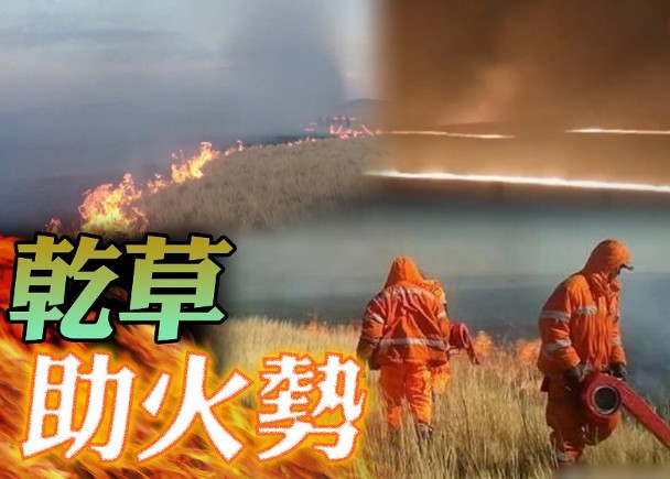 影視泛舟 內(nèi)蒙古：?蒙古國蘇赫巴托省草原發(fā)生大火，火勢蔓延至我國境內(nèi)