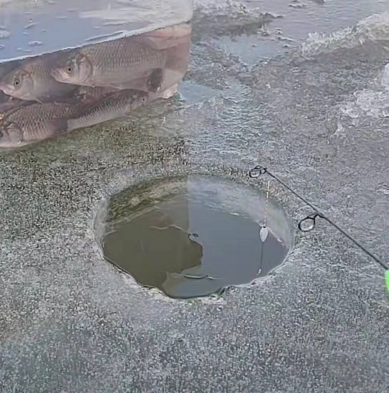 北京市|北京海淀上庄已经开始冰钓，看着薄薄的冰层，不知是钓鱼还是玩命