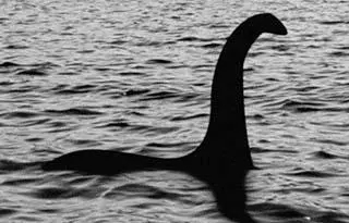 奇闻尼斯湖水怪究竟是谁？蛇颈龙没灭绝？