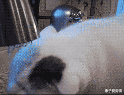 评测|“第一次和游戏CP奔现，结果她穿成这样”这速度是不是太快了？