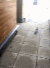 离职|“连续结过三次婚，收了53w彩礼！”职业离婚太野了！