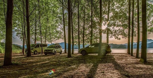 胖哥说说 河南一8旬翁遇车祸神秘失踪,20多天后被发现,被埋尸荒野