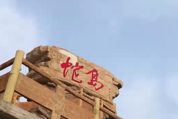 野猪为何胆敢吃蛇?如果把它们放在大连蛇岛,毒蛇会被消灭吗?