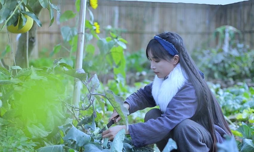 李子柒|曝李子柒停更原因，目前已卖掉了房子，助理否认团队被“一锅端”