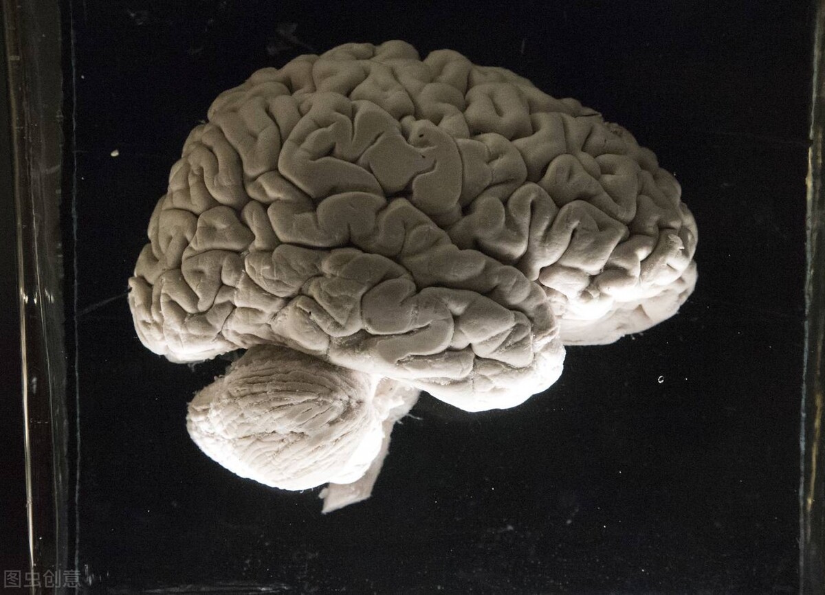 脑供血不足|脑供血不足的人，3件事不妨坚持做，对改善脑供血有帮助