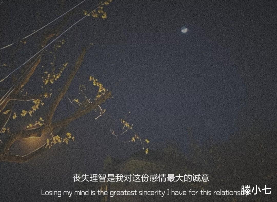 滕小七|“除了我,谁都不可以欺负你”