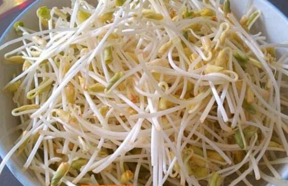 遵生养命|荞麦芽的营养价值与功效 吃荞麦芽的好处