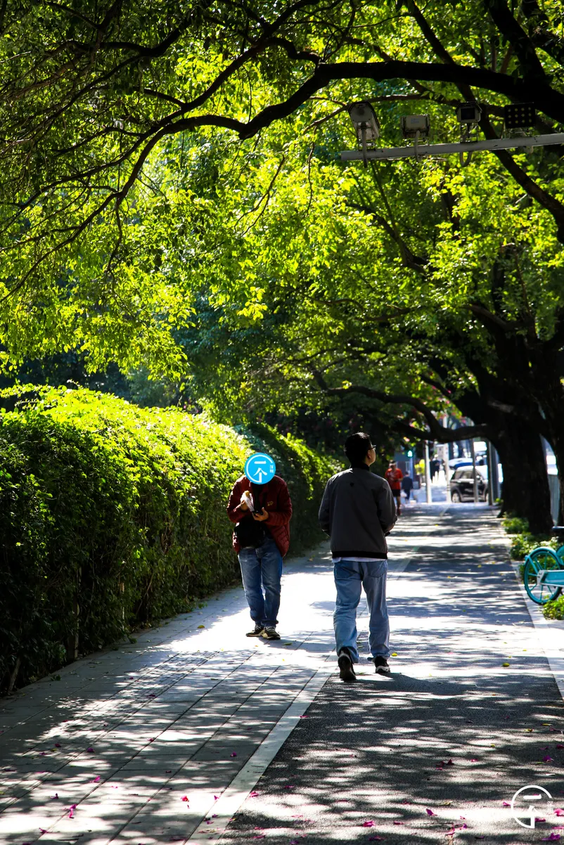 楼市|误入南山“少林村”，月入过万只能勉强合租？