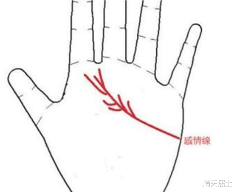 滴天居士|从手纹看潜在性格与能力