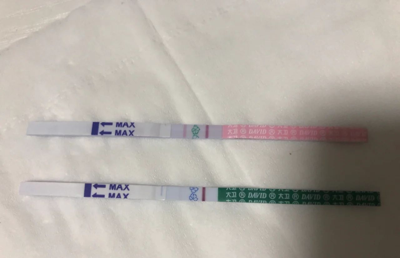 猪先生的李小姐 传好孕！备孕一年，竟然意外怀上，虎宝宝来了