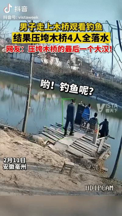 |“我像只鱼儿在你的荷塘…只为看你从那桥上掉下来…”