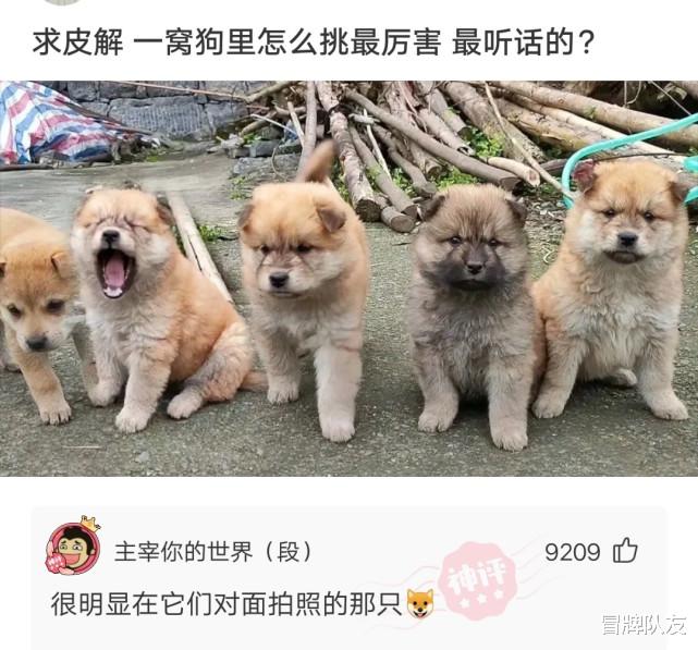 神回复:圆周率已经被算到31.4万亿位,科学家如此执着到底为了什么?