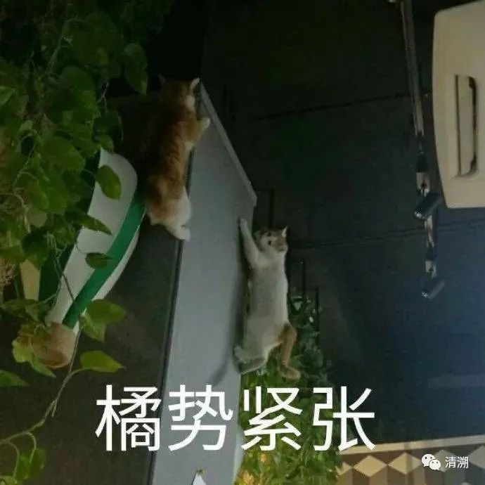 解忧空白阁|“糖爹”不就是披着糖衣的狼吗？
