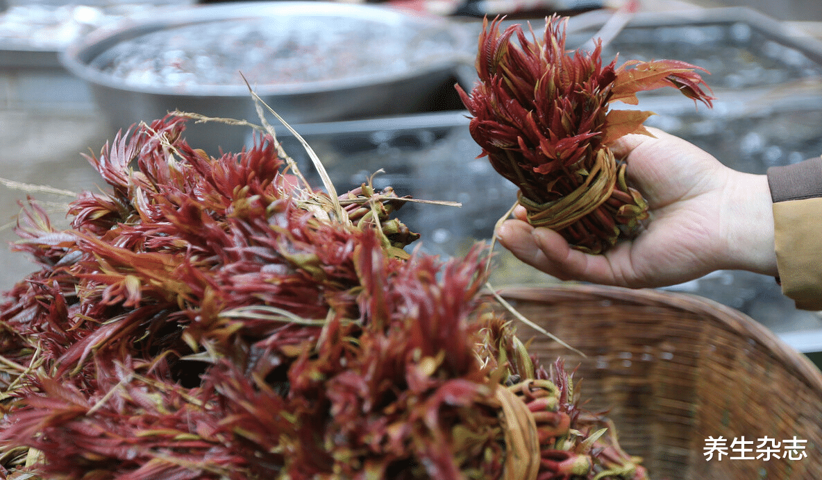 蔬菜|吃韭菜血压不好？医生: 若不想血压“失控”，赶快远离这3种常见蔬菜