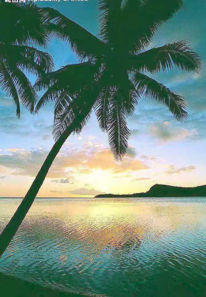 胃黏膜|解决睡眠困难的几大方法