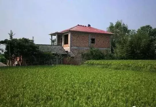 购房置业|不顾妻儿反对砸40万回农村建房,完工后发现农村建房不如城里买房