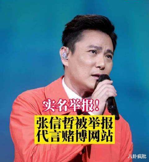 张钧甯|张信哲翻车?吴宣仪的歌难听? 吴宗宪儿子来内娱? 邓超《中国乒乓》