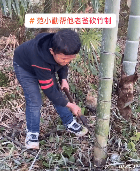 范小勤|“小马云”父亲入驻短视频，晒与儿子日常生活，疑似签约新团队