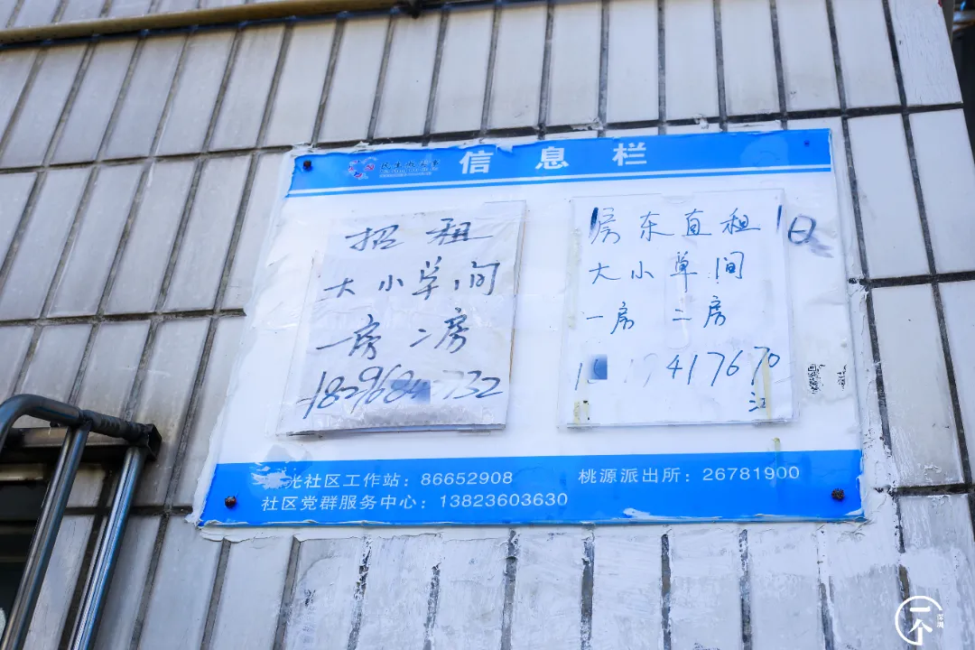 泉州|深圳南山有个“低调”村，个个月薪上万？