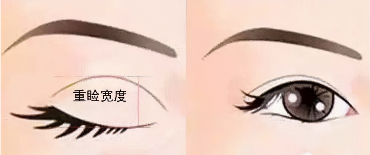 景甜|能“夹死”苍蝇的大双眼皮没了,《司藤》景甜凭一己之力拉回内娱审美