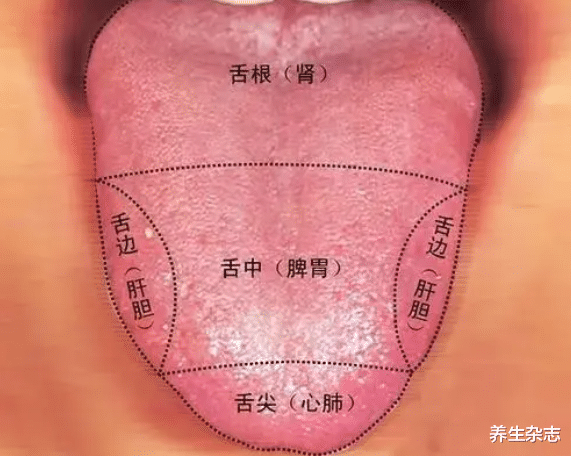医生|54岁阿姨养生一年，查出肝病，医生：3类蔬菜是“伤肝大户”，勿多吃
