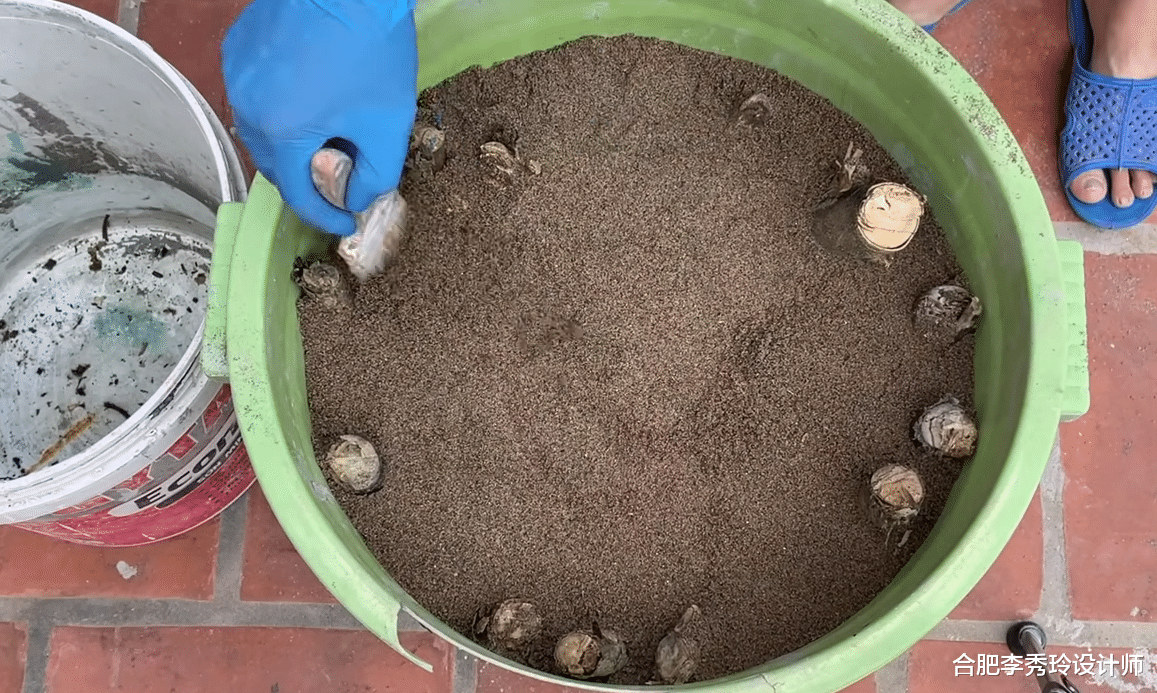 捡一把枯树枝，和点水泥教你给家里做几把凳子，独一无二不用花钱