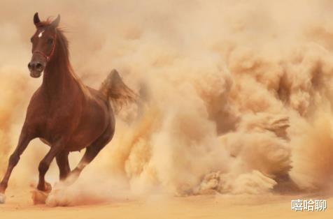 生肖|一不缺钱,二不缺贵人的三大生肖,收获事业稳定进步