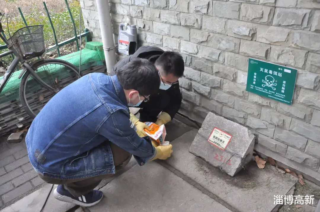 淄博高新 淄博高新区启动统一灭鼠行动!