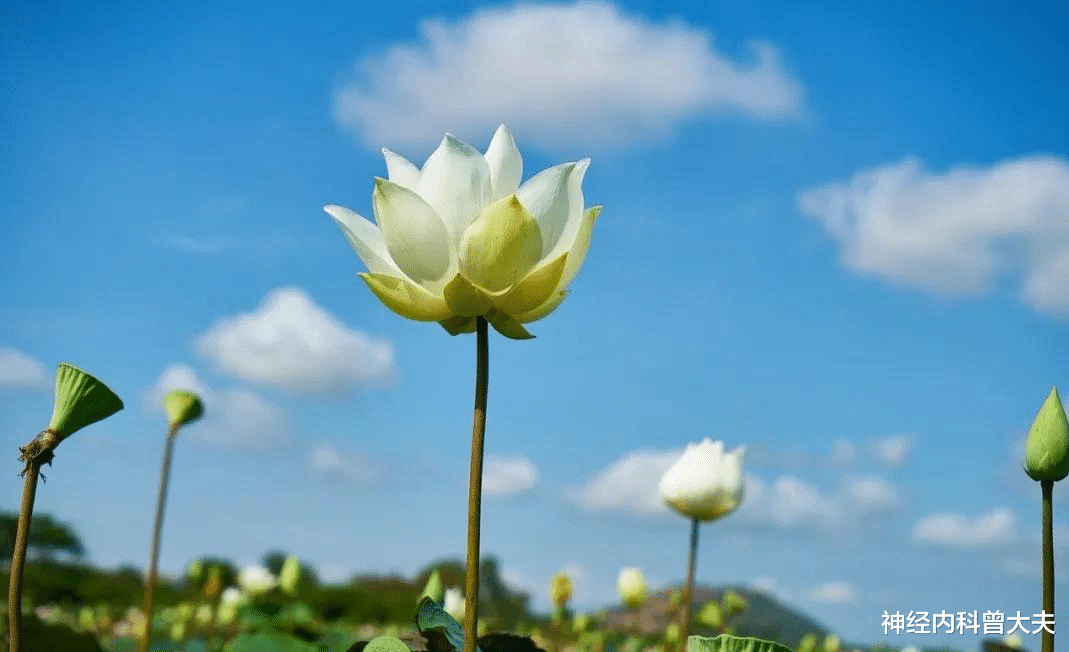 神经内科曾大夫 发现指鼻不准，竟然诊断为小脑梗死！教你五个动作自测是否脑梗死